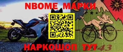 МДПВ Новозыбков