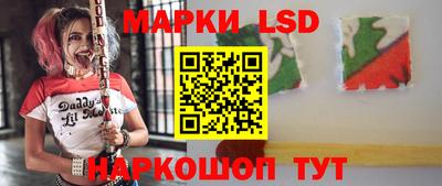 стаф Новодвинск