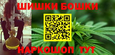 МДПВ Новозыбков
