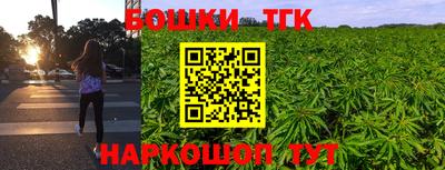 стаф Новодвинск