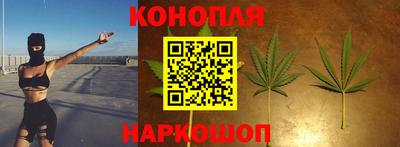 МДПВ Новокубанск