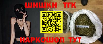 МДПВ Новозыбков