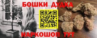 МДПВ Новозыбков