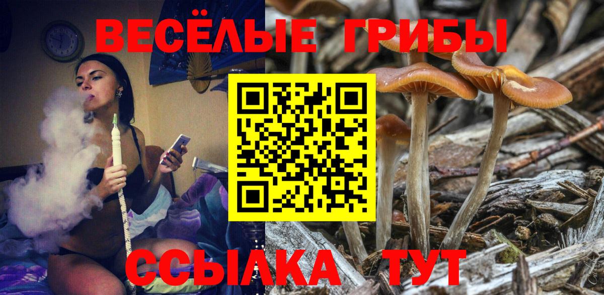 Псилоцибиновые грибы Psilocybine cubensis Полевской
